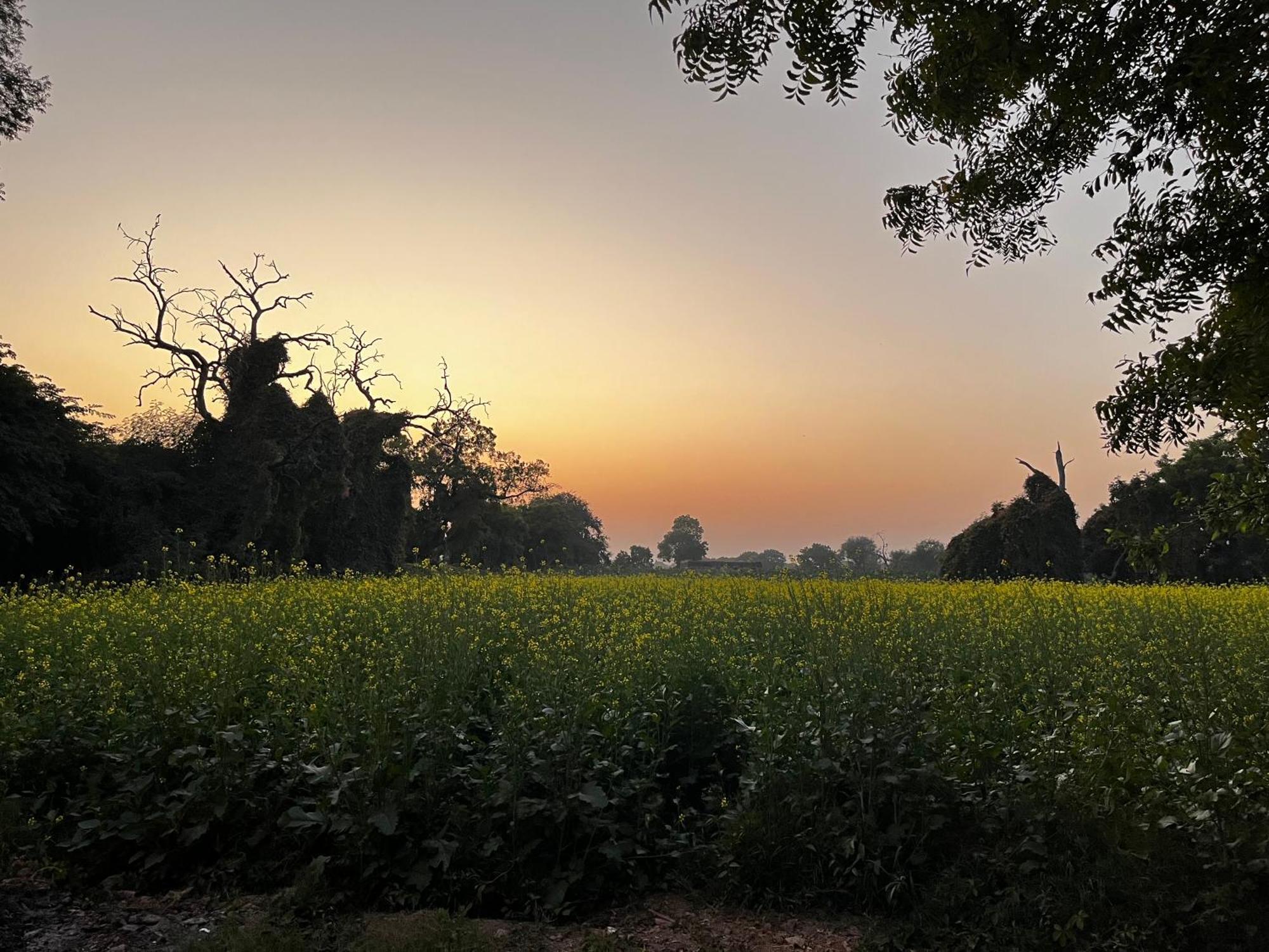 Sharad Baug Homestay Bhudzs Kültér fotó