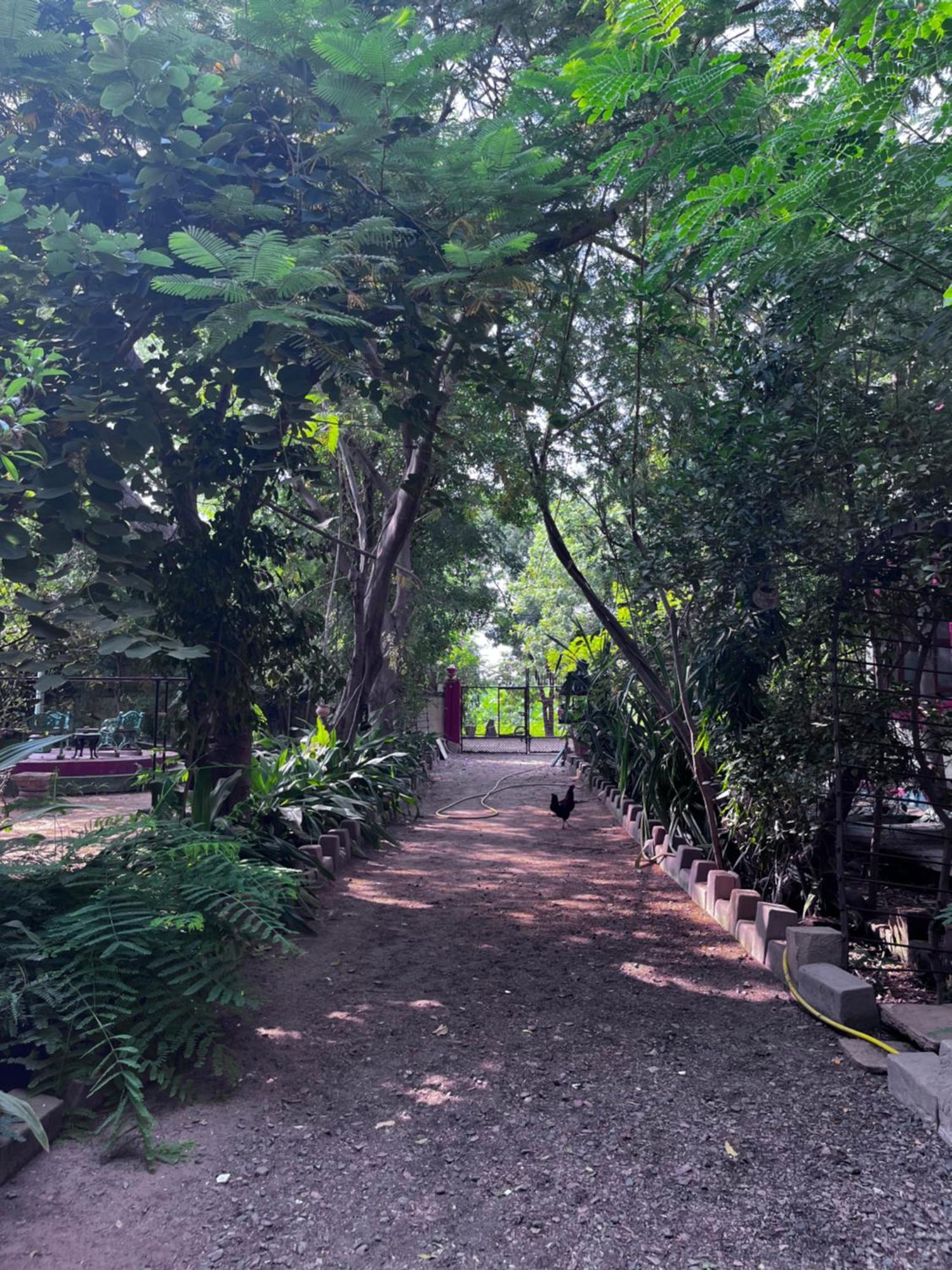 Sharad Baug Homestay Bhudzs Kültér fotó