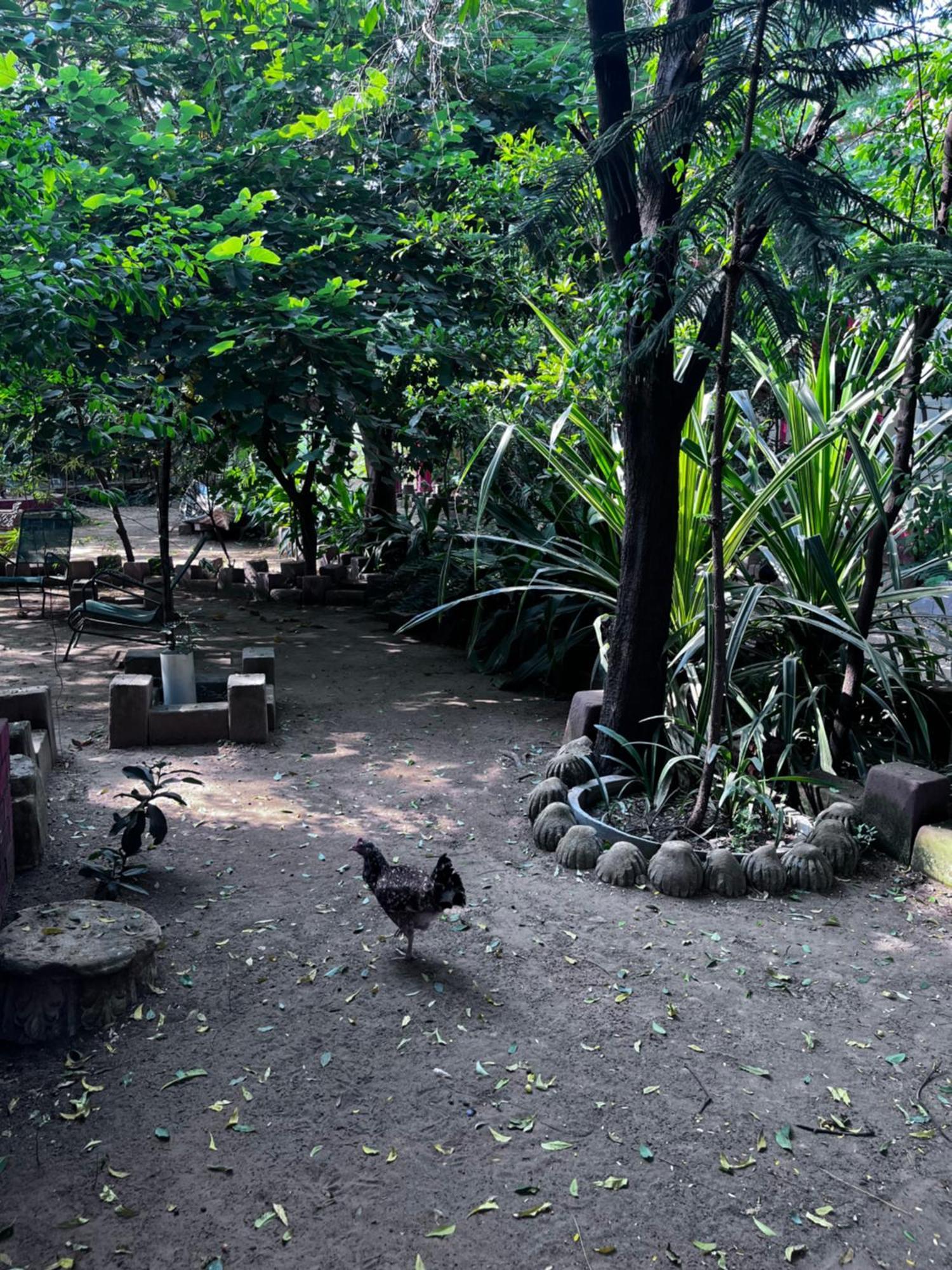 Sharad Baug Homestay Bhudzs Kültér fotó